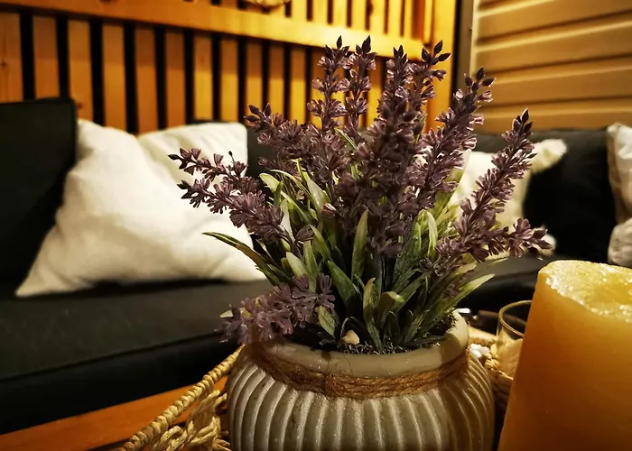 Mobile Home Pine Adria