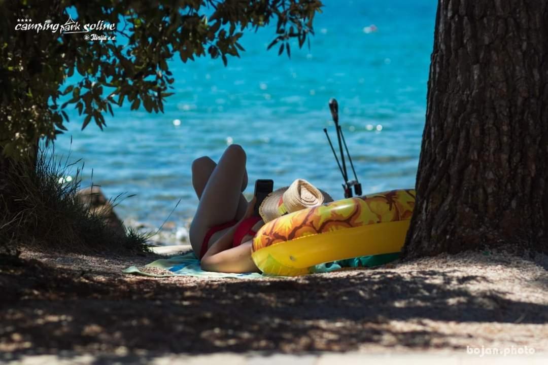 Campsite Mobile Pine Adria Biograd Na Moru