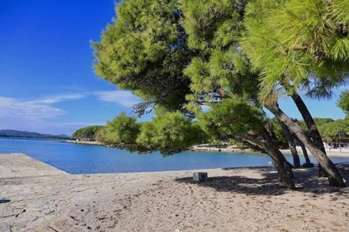 Mobile Pine Adria
